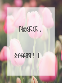 杨乐乐，好样的！