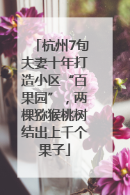 杭州7旬夫妻十年打造小区“百果园”，两棵猕猴桃树结出上千个果子