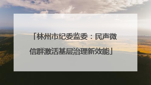 林州市纪委监委：民声微信群激活基层治理新效能