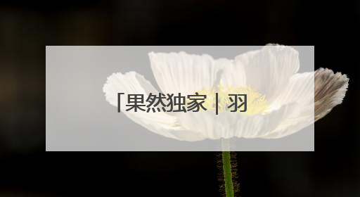 果然独家｜羽毛球，泉城“第一运动”