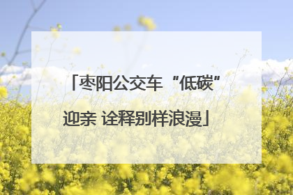 枣阳公交车“低碳”迎亲 诠释别样浪漫