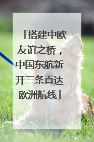 搭建中欧友谊之桥，中国东航新开三条直达欧洲航线