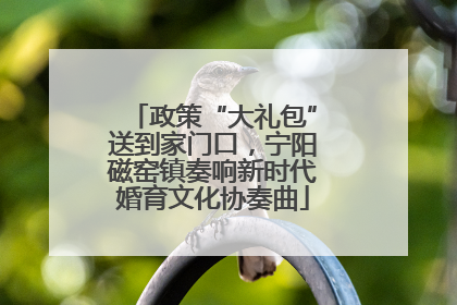 政策“大礼包”送到家门口，宁阳磁窑镇奏响新时代婚育文化协奏曲
