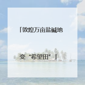 敦煌万亩盐碱地变“希望田”