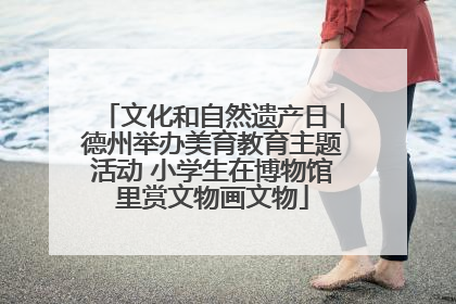 文化和自然遗产日丨德州举办美育教育主题活动 小学生在博物馆里赏文物画文物