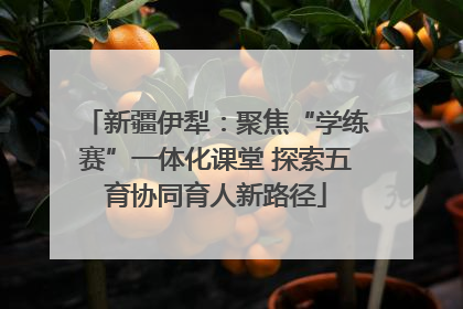 新疆伊犁：聚焦“学练赛”一体化课堂 探索五育协同育人新路径