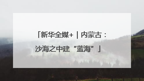 新华全媒+｜内蒙古：沙海之中建“蓝海”