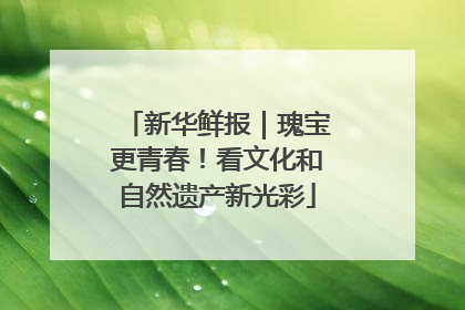 新华鲜报｜瑰宝更青春！看文化和自然遗产新光彩