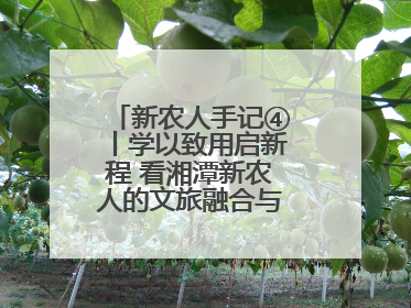 新农人手记④丨学以致用启新程 看湘潭新农人的文旅融合与产业升级之路