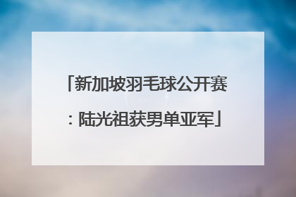 新加坡羽毛球公开赛：陆光祖获男单亚军