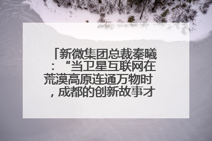 新微集团总裁秦曦：“当卫星互联网在荒漠高原连通万物时，成都的创新故事才真正开始”