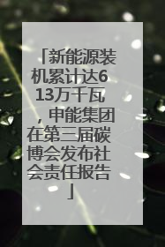 新能源装机累计达613万千瓦，申能集团在第三届碳博会发布社会责任报告