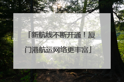 新航线不断开通！厦门港航运网络更丰富