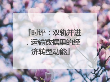 时评：双轨并进，运输数据里的经济转型动能