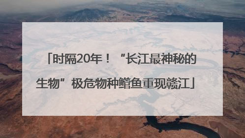 时隔20年！“长江最神秘的生物”极危物种鳤鱼重现赣江