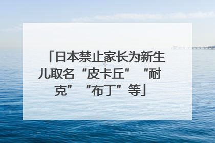 日本禁止家长为新生儿取名“皮卡丘”“耐克”“布丁”等