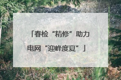 春检“精修”助力电网“迎峰度夏”