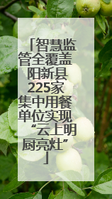 智慧监管全覆盖 阳新县225家集中用餐单位实现“云上明厨亮灶”
