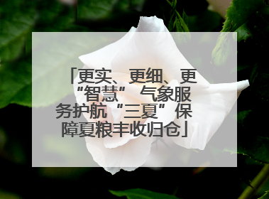更实、更细、更“智慧” 气象服务护航“三夏”保障夏粮丰收归仓