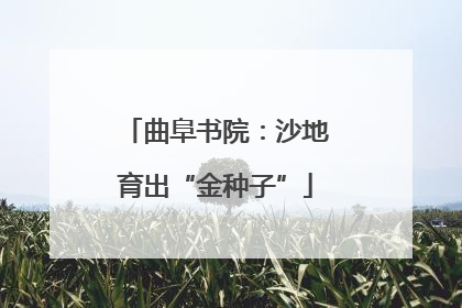 曲阜书院：沙地育出“金种子”