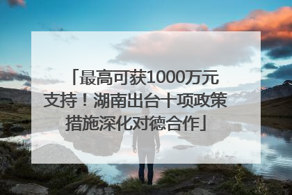 最高可获1000万元支持！湖南出台十项政策措施深化对德合作