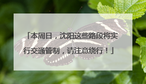 本周日，沈阳这些路段将实行交通管制，请注意绕行！