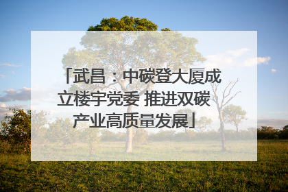 武昌：中碳登大厦成立楼宇党委 推进双碳产业高质量发展