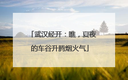 武汉经开：瞧，夏夜的车谷升腾烟火气