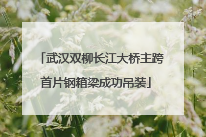 武汉双柳长江大桥主跨首片钢箱梁成功吊装