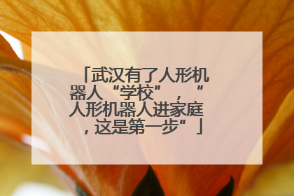 武汉有了人形机器人“学校”，“人形机器人进家庭，这是第一步”