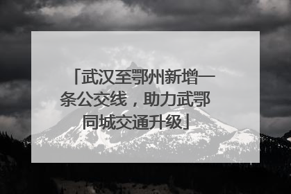 武汉至鄂州新增一条公交线，助力武鄂同城交通升级