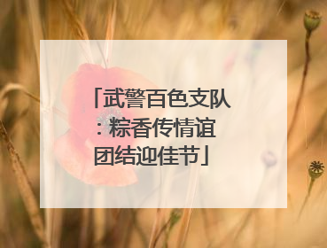 武警百色支队：粽香传情谊 团结迎佳节