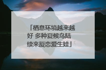 栖息环境越来越好 多种夏候鸟陆续来厦恋爱生娃