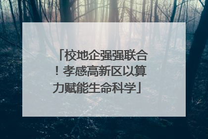 校地企强强联合！孝感高新区以算力赋能生命科学