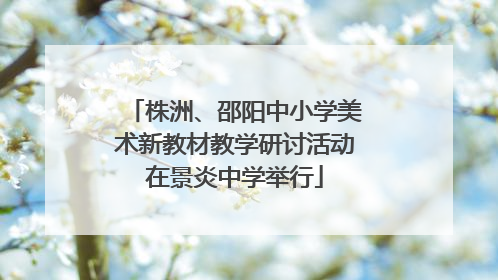 株洲、邵阳中小学美术新教材教学研讨活动在景炎中学举行