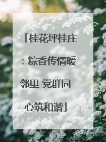 桂花坪桂庄：粽香传情暖邻里 党群同心筑和谐