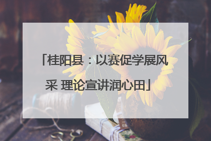 桂阳县：以赛促学展风采 理论宣讲润心田