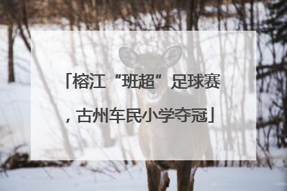 榕江“班超”足球赛，古州车民小学夺冠