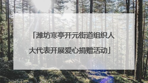 潍坊寒亭开元街道组织人大代表开展爱心捐赠活动