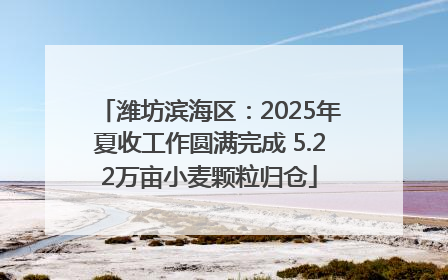 潍坊滨海区：2025年夏收工作圆满完成 5.22万亩小麦颗粒归仓
