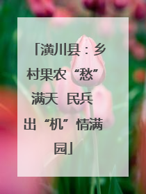 潢川县：乡村果农“愁”满天  民兵出“机”情满园