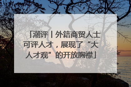 潮评丨外籍商贸人士可评人才，展现了“大人才观”的开放胸襟
