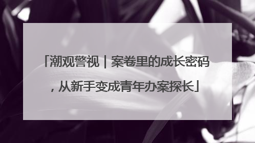 潮观警视｜案卷里的成长密码，从新手变成青年办案探长