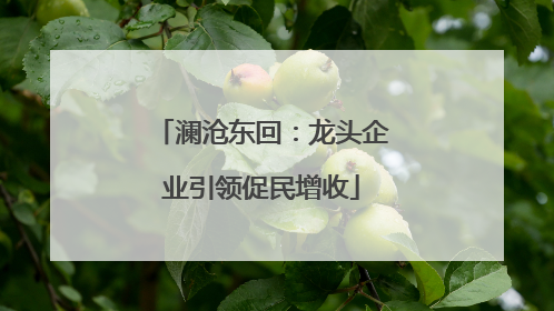 澜沧东回：龙头企业引领促民增收