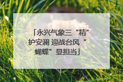 永兴气象三“精”护安澜 迎战台风“蝴蝶”显担当