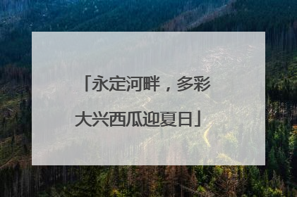永定河畔，多彩大兴西瓜迎夏日