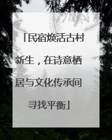 民宿焕活古村新生，在诗意栖居与文化传承间寻找平衡