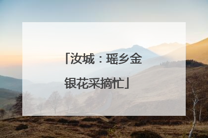 汝城：瑶乡金银花采摘忙
