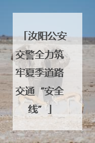 汝阳公安交警全力筑牢夏季道路交通“安全线”