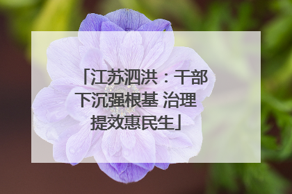 江苏泗洪：干部下沉强根基 治理提效惠民生